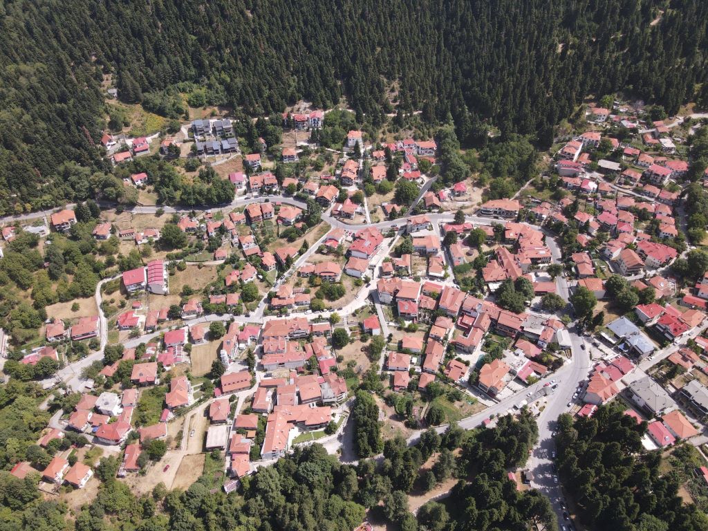 Προς διεθνή κατοχύρωση και διάκριση για την Ελάτη Τρικάλων